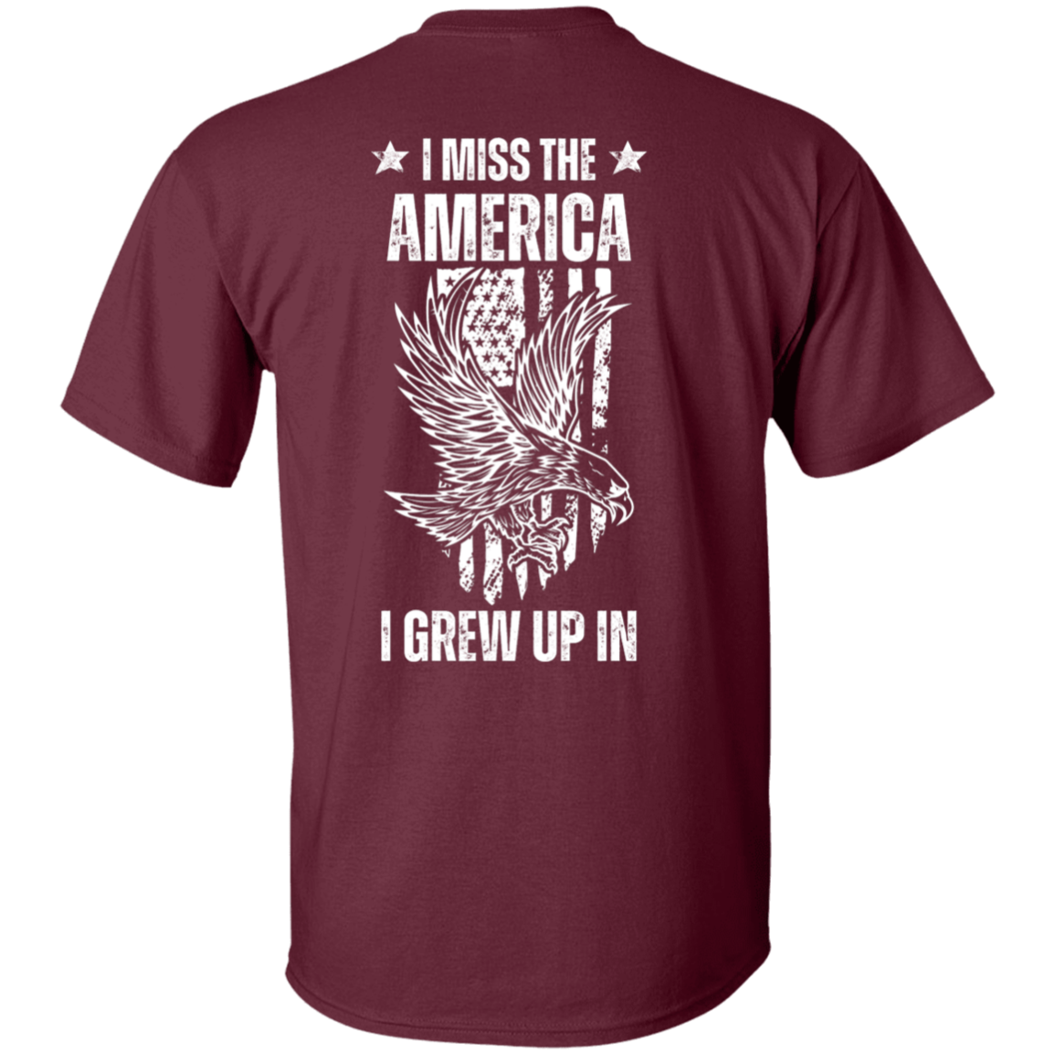 The America I Grew Up In - T-Shirt