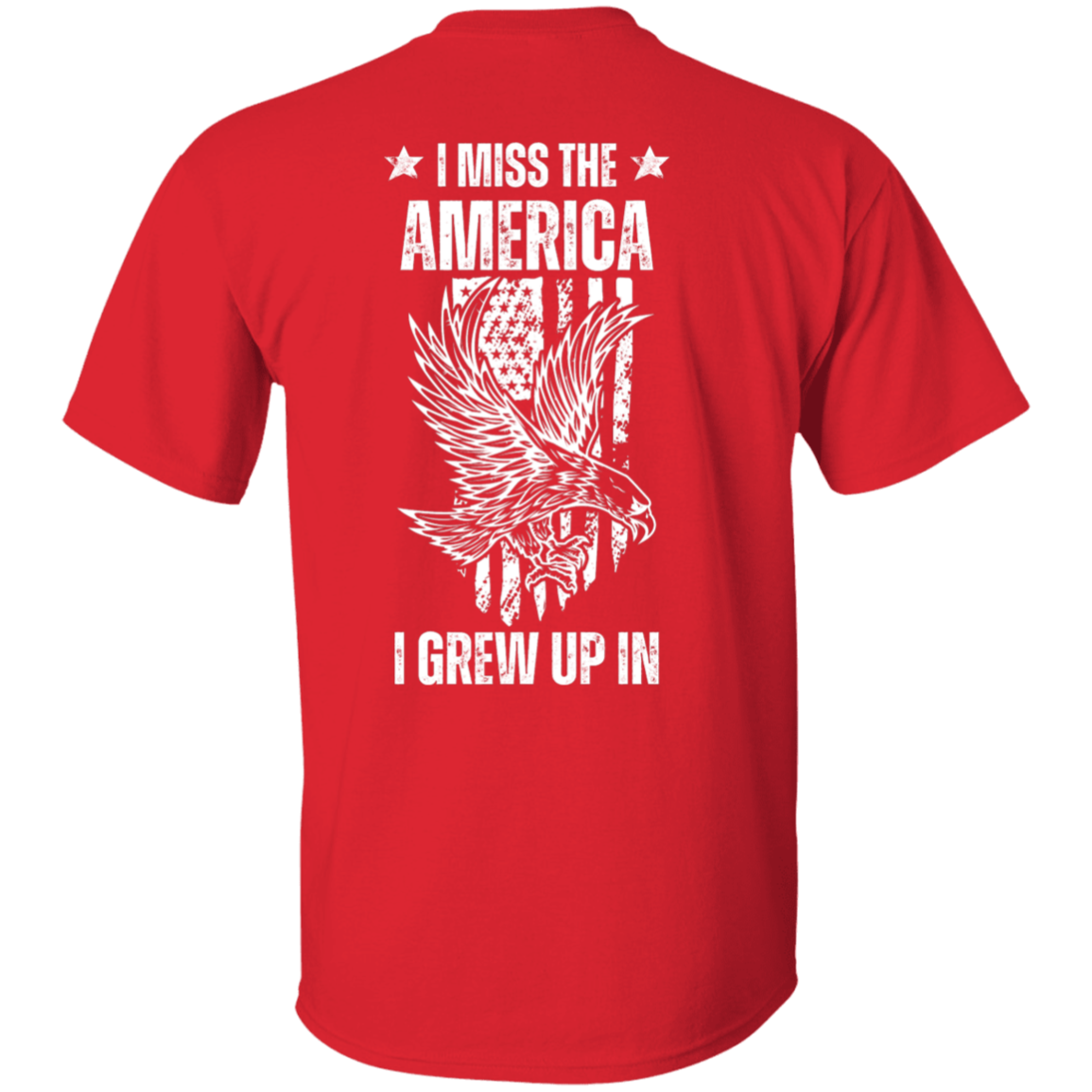 The America I Grew Up In - T-Shirt